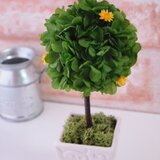 グリーントピアリー