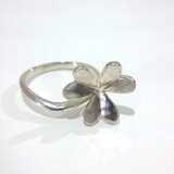 ミツバのリング