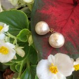 コットンパールのピアス