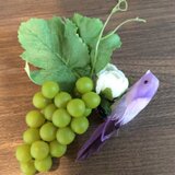 鳥とマスカット