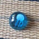 キラキラクラゲとお星様