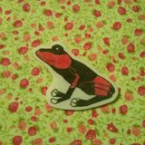 リマニーヤドクガエルブローチ