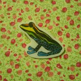 ウアカリヤドクガエルブローチ