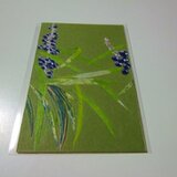 冬のヤブラン（ポストカード）