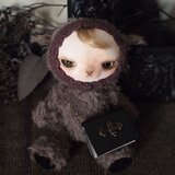 【孤独な夜の同伴者　求道者】