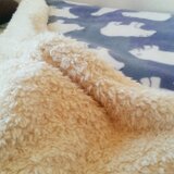 大判あったかブランケット