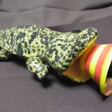 オオサンショウウオベル