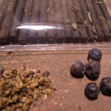 ■JUNIPER & CYPRESS