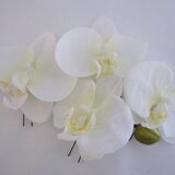 胡蝶蘭の髪飾り