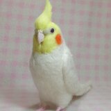 リアル！オカメインコ ルチノ－（濃赤目）羊毛フェルト  受注製作　ライフサイズ　羊毛インコ　羊毛ぬいぐるみ　工房小鳥屋さんの画像