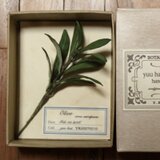 オリーブのブローチ＊布草花＊