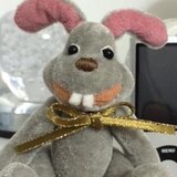 ウサギのラパン