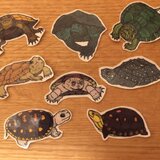 いろんなカメさんシール