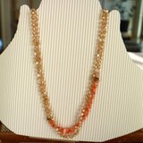 ピンクコーラル