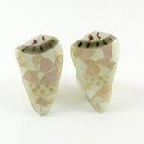 Shell Pierced Earrigs イモガイ　モザイクの画像
