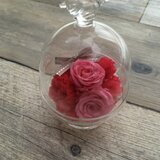 小鳥のガラスドーム Pink