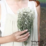 ナチュラルロングノースリーブワンピース生成