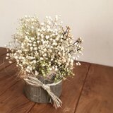 カスミ草のナチュラルアレンジ