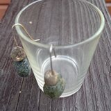 自然石のピアス