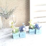 サイコロころ（ナツいろ）