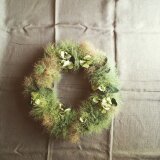 スモークツリーのリース