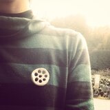 れんこんブローチ