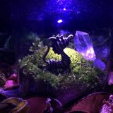 鉱石とぼくの冒険