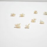 ukigumo(バロックパール　ピアス　片耳)の画像