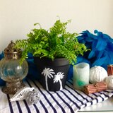 リメイク鉢 口径17cm海に行きたいなシリーズ 海の仲間たち