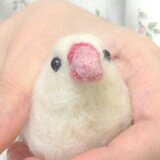 羊毛フェルト握り文鳥 白文鳥