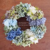 あじさいのグラデーションリース