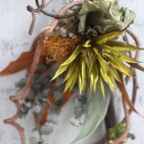 ブラックビーンの個性的リース