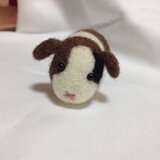 モルモット◯羊毛フェルト◯