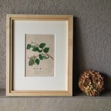 ボタニカルアート①