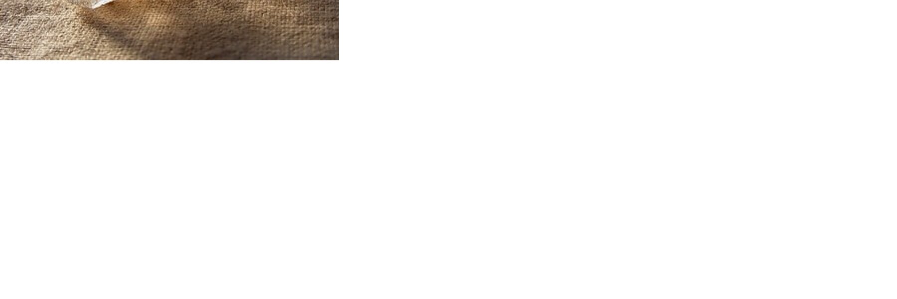 QuietRobin