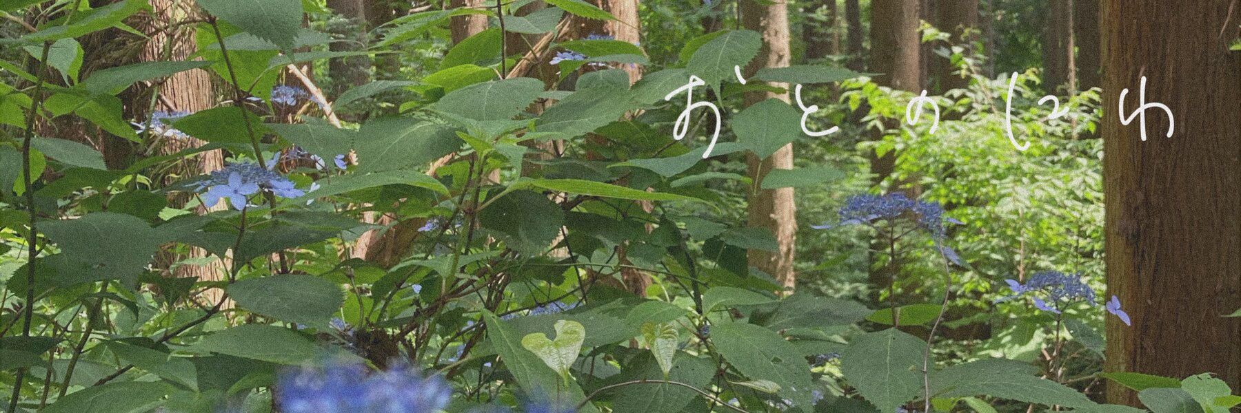 音の庭 ~dried flower    野草とお花