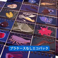 17深海生物図鑑カレンダー エコパック Iichi ハンドメイド クラフト作品 手仕事品の通販