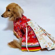 犬服 ハンドメイド着物 Sサイズ⑫ 中型犬Sサイズ》着物 袴 犬服 和服 和装 小型犬 ドレス ドッグ