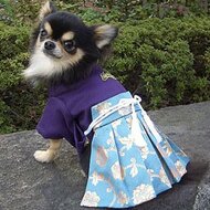 犬着物】花魁 オーダーメイド 犬服 犬の着物 | iichi 日々の暮らしを 