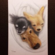 ペット 肖像画 似顔絵 色鉛筆画 パステル イラスト オーダーメイド 