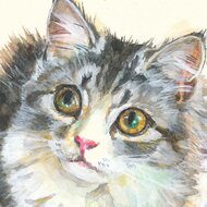 動物画、ペット画(本格水彩画) 最新 動物画、ペット画(本格水彩画) 絵画 - 絵画
