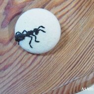 蟻の刺繍ブローチ A 右向き Iichi ハンドメイド クラフト作品 手仕事品の通販 蟻の刺繍ブローチ A 右向き Iichi ハンドメイド クラフト作品 手仕事品の通販