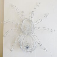 白い蜘蛛 Iichi ハンドメイド クラフト作品 手仕事品の通販 白い蜘蛛 Iichi ハンドメイド クラフト作品 手仕事品の通販