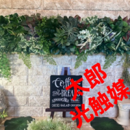 光触媒　人工観葉植物　ウォールグリーン　フェイクグリーン　壁掛け5046 光触媒 人工観葉植物 ウォールグリーン フェイクグリーン 壁掛け