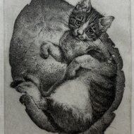 猫 銅版画 額装 | iichi 日々の暮らしを心地よくする