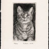 超かわいい〜！猫モチーフ　銅版画 it-60ef777ebfcae-1200.jpg