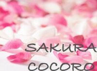 SAKURA COCORO