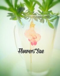 Flowers*Sae