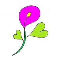 Pinnata（ピナータ）