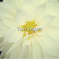 Tiny_drops